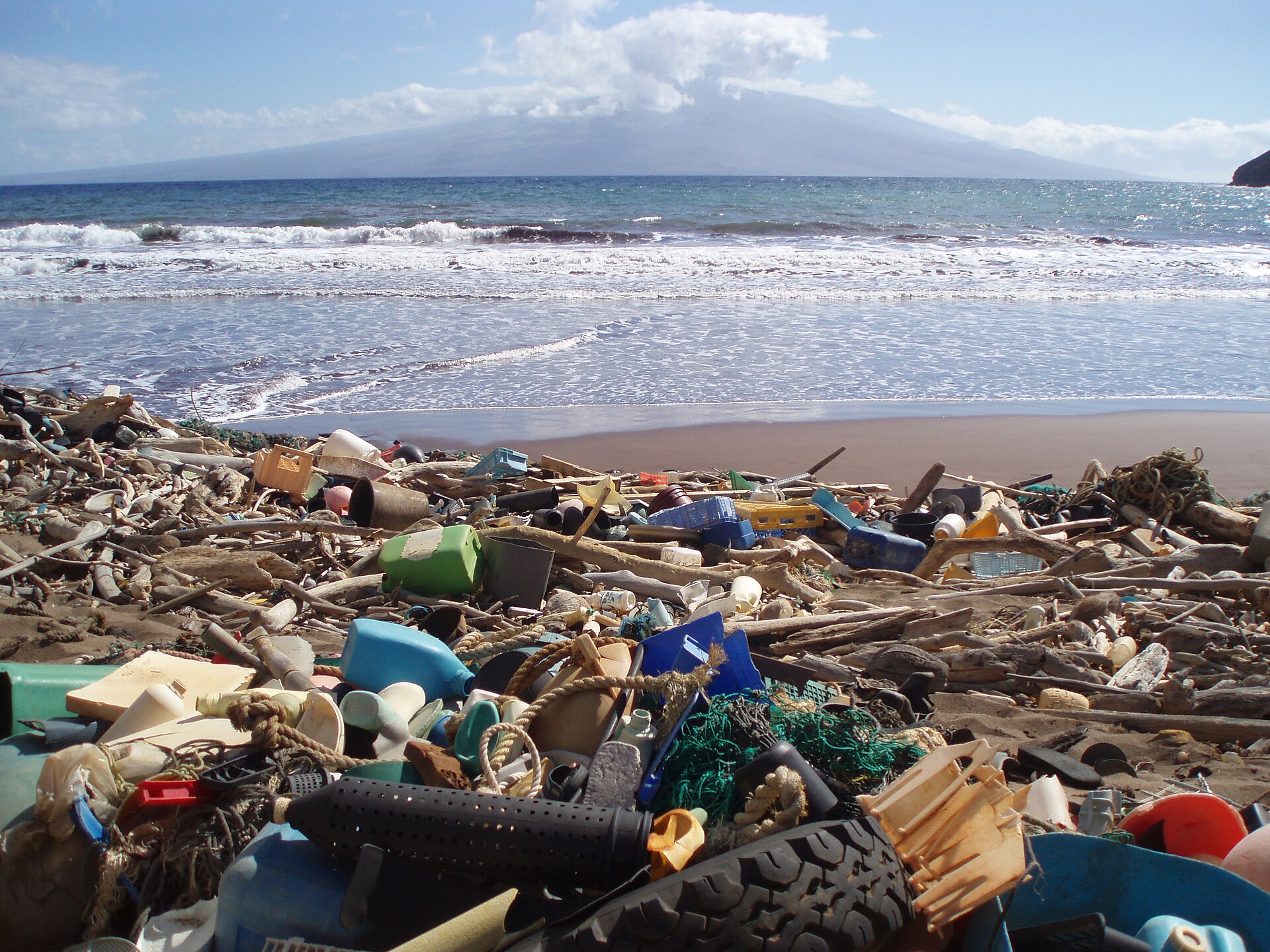 Plastic debris on a Hawaiian beach