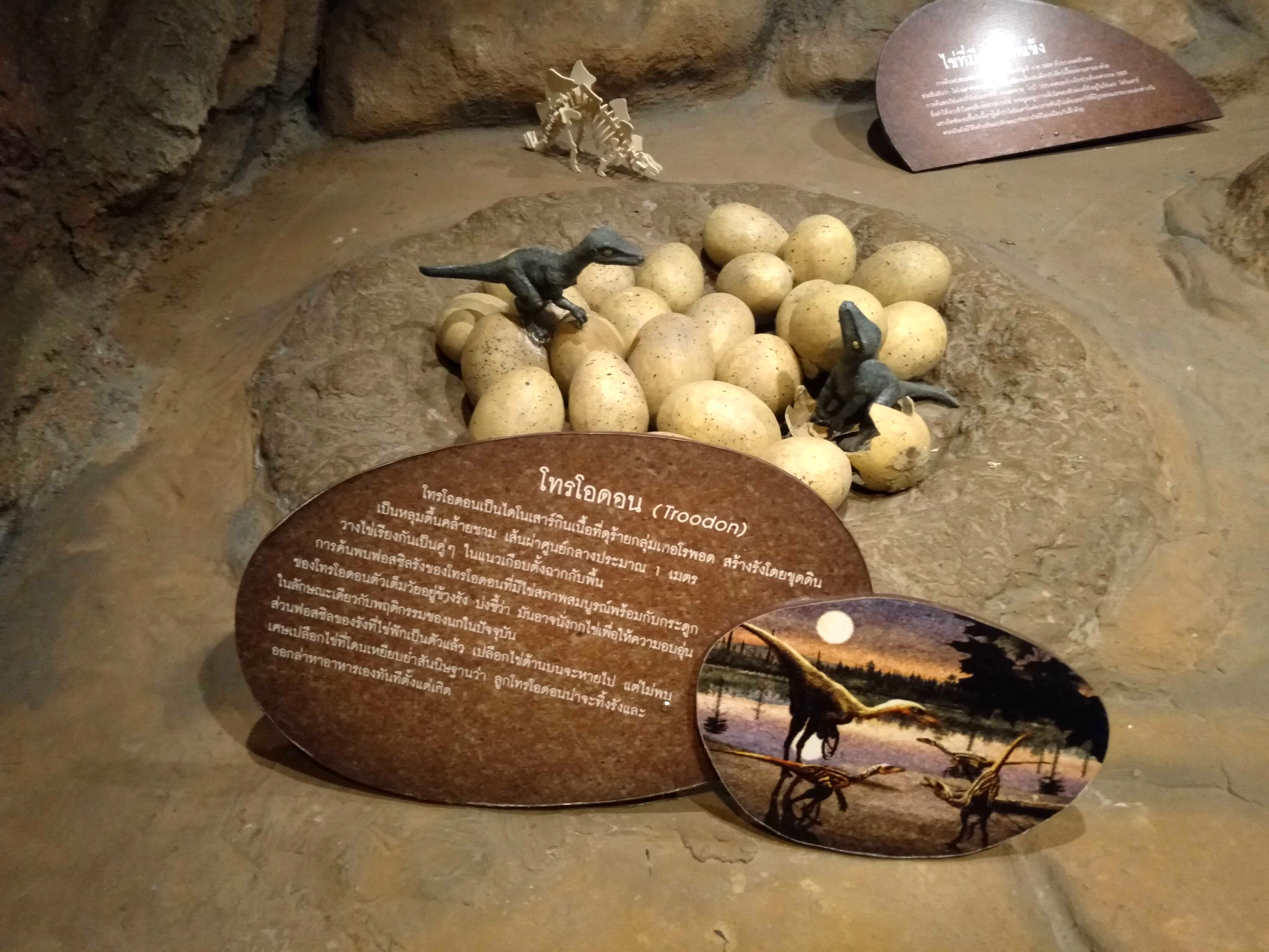 Ocean education exhibit in Bangkok